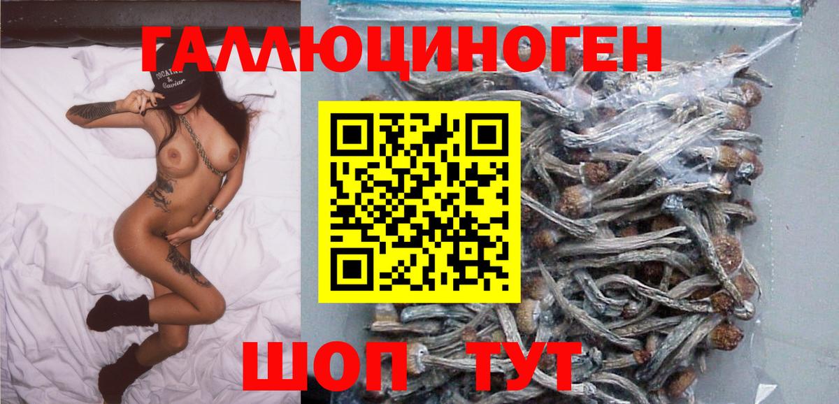 Славгород  Псилоцибиновые грибы ЛСД  Вход с VPN 